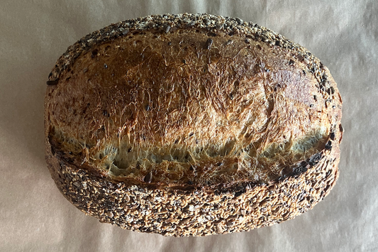 Seeded City (Friday)